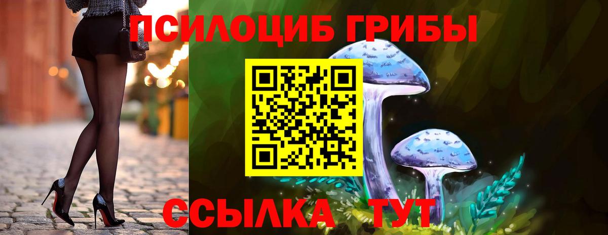 где найти наркотики  Вход с VPN  Псилоцибиновые грибы прущие грибы  Кингисепп  Псилоцибиновые грибы Psilocybine cubensis 