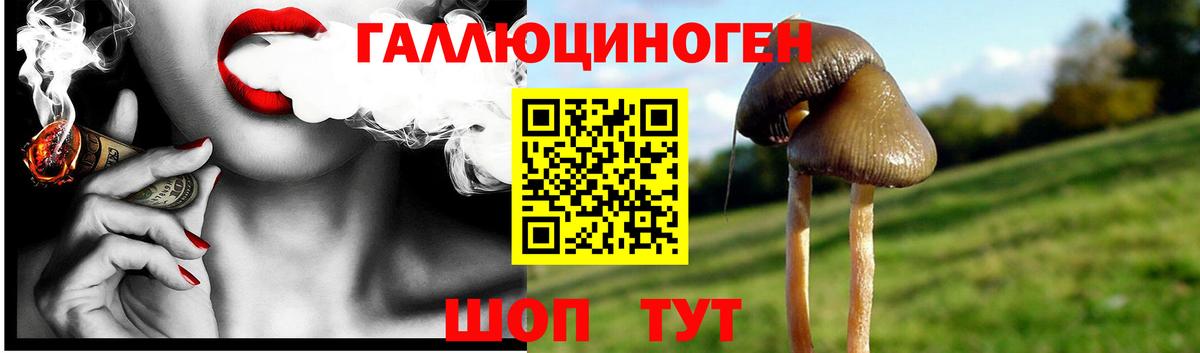 Псилоцибиновые грибы GOLDEN TEACHER Кингисепп