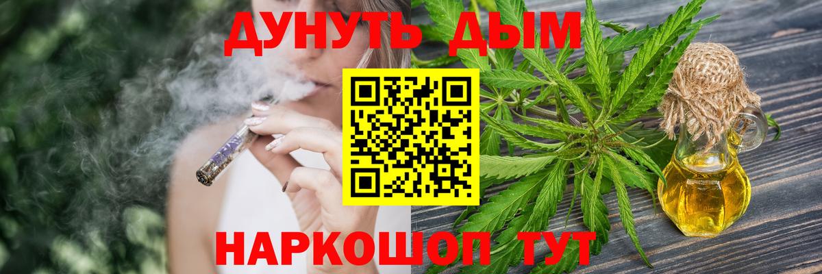 Бошки Шишки план Кингисепп